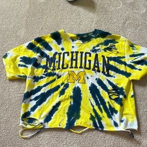 Champion Michigan t shirt